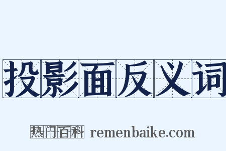 投影面反义词是什么意思的图片
